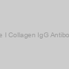 Rat Anti-Bovine Type I Collagen IgG Antibody Assay Kit, (OPD)
